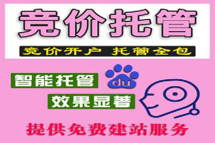 某sem代运营公司助力企业实现品牌升级